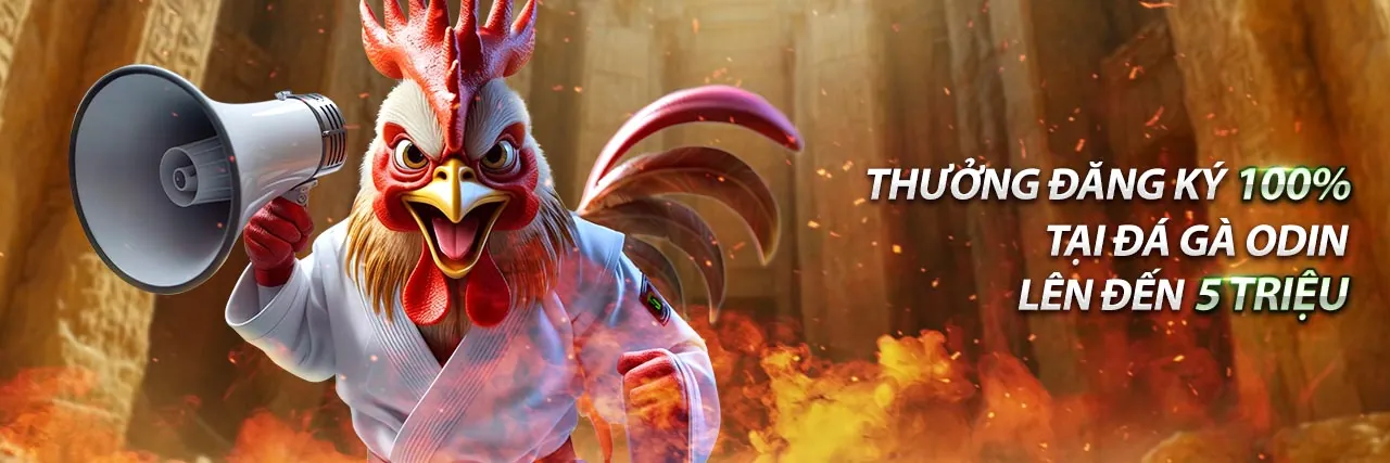 Cá cược thể thao 1win nhà cái